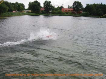 Alfsee 2008,    48